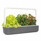 Click & Grow Smart Garden 9 kaina ir informacija | Daigyklos, lempos augalams | pigu.lt