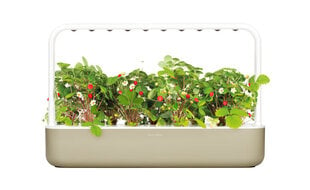 Click & Grow Smart Garden 9 kaina ir informacija | Daigyklos, lempos augalams | pigu.lt