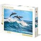 Dėlionė Clementoni Nardantys delfinai, 500 d. kaina ir informacija | Dėlionės (puzzle) | pigu.lt