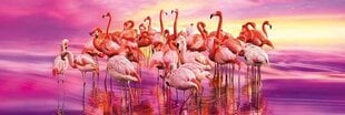 Dėlionė Clementoni "Flamingų šokis", 1000 d. kaina ir informacija | Dėlionės (puzzle) | pigu.lt