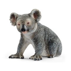 Figūrėlė Koala Schleich Wild Life kaina ir informacija | Žaislai berniukams | pigu.lt