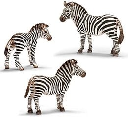Статуэтка жеребенка зебры, Schleich цена и информация | Игрушки для мальчиков | pigu.lt