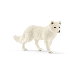 Figūrėlė Arktinė lapė Schleich цена и информация | Игрушки для мальчиков | pigu.lt