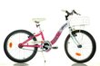 Mergaičių dviratis Winx 204 R-WX7 20" kaina ir informacija | Dviračiai | pigu.lt