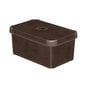 Curver dėžė daiktams su dangčiu Leather S, 29,5x19,5x13,5 cm kaina ir informacija | Daiktadėžės | pigu.lt