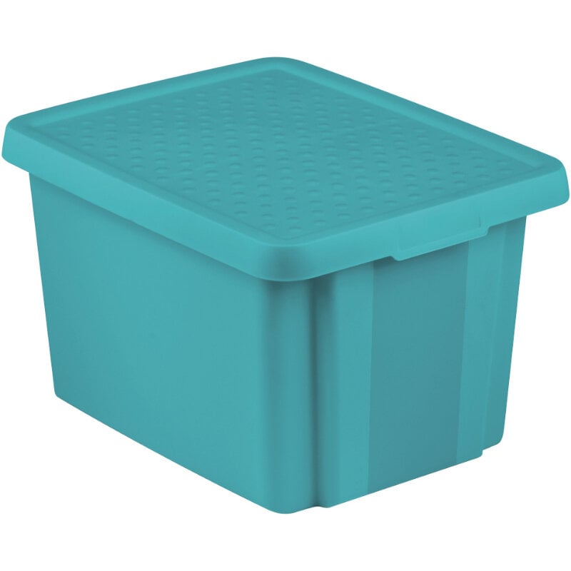 Curver dėžė su dangčiu Essentials, 26l, mėlyna цена и информация | Daiktadėžės | pigu.lt