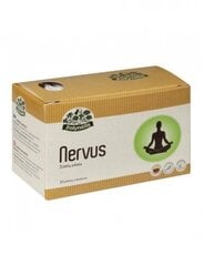 Žolynėlis, травяной чай Nervus, 20 x 1,5 г цена и информация |  Чаи и лекарственные травы | pigu.lt