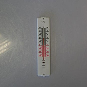 Termometras Axentia, 20 cm kaina ir informacija | Meteorologinės stotelės, termometrai | pigu.lt