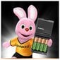 Įkraunamos baterijos Duracell цена и информация | Elementų krovikliai | pigu.lt