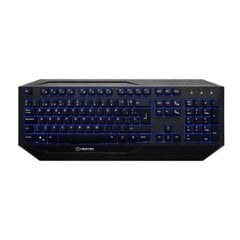 Hiditec GK200 GKE010000 цена и информация | Клавиатуры | pigu.lt