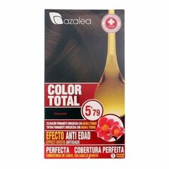 Ilgalaikiai plaukų dažai Azalea, 155 ml цена и информация | Краска для волос | pigu.lt