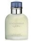 Tualetinis vanduo Dolce&Gabbana Light Blue Pour Homme EDT vyrams 75 ml цена и информация | Kvepalai vyrams | pigu.lt