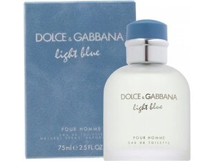 Tualetinis vanduo Dolce&Gabbana Light Blue Pour Homme EDT vyrams 75 ml kaina ir informacija | Kvepalai vyrams | pigu.lt