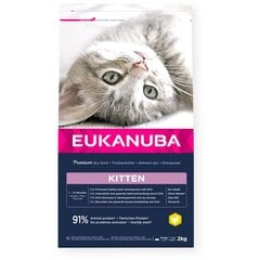 Eukanuba Kitten All Breeds Healthy Start для молодых котят с курицей и печенью, 2 кг цена и информация | Сухой корм для кошек | pigu.lt