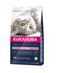 Eukanuba Cat Kitten All Breeds Healthy Start kačiukams su vištiena ir kepenėlėmis, 10 kg kaina ir informacija | Sausas maistas katėms | pigu.lt