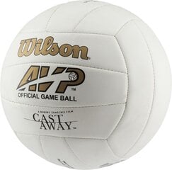 Волейбольный мяч Wilson "Cast Away" цена и информация | Волейбольные мячи | pigu.lt