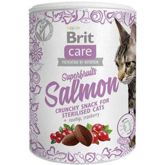 Brit Care skanėstai Superfruits su lašiša, 100 g kaina ir informacija | Skanėstai katėms | pigu.lt