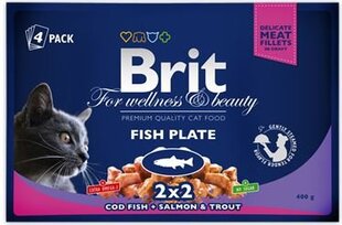 Brit Premium konservų rinkinys Fish Plate, 4 x 100 g kaina ir informacija | Brit Premium Gyvūnų prekės | pigu.lt