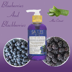 Нежное жидкое мыло для рук BLUEBERRIES-BLACKBERRIES Saules Fabrika, 200 мл цена и информация | Мыло | pigu.lt