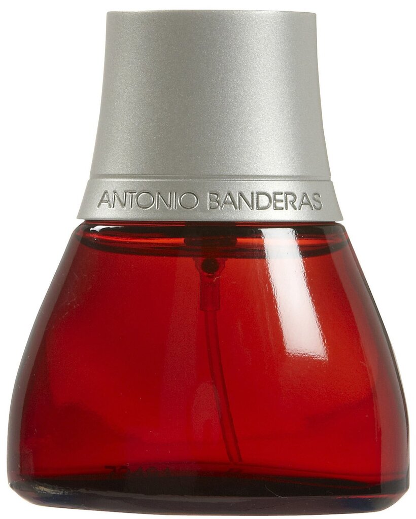 Tualetinis vanduo Antonio Banderas Spirit EDT vyrams 50 ml kaina ir informacija | Kvepalai vyrams | pigu.lt