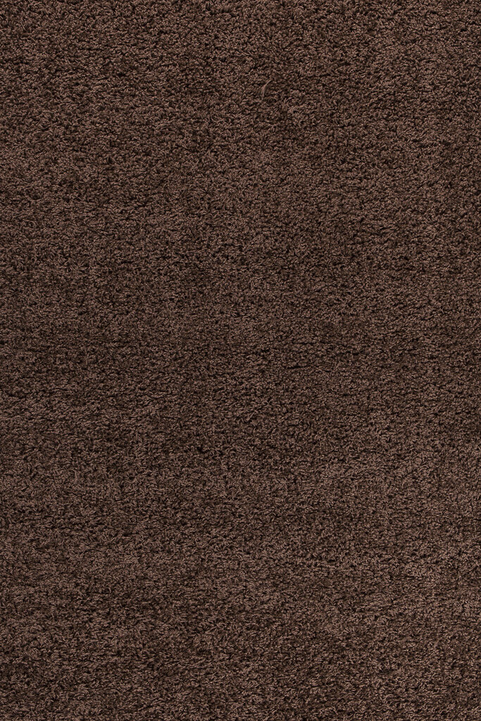 Ayyildiz kilimas Shaggy Dream Brown 4000, Ø 120 cm цена и информация | Kilimai | pigu.lt