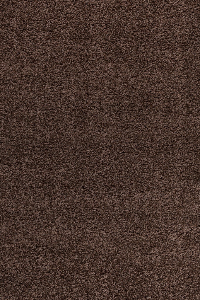 Ayyildiz kilimas Shaggy Dream Brown 4000, Ø 120 cm цена и информация | Kilimai | pigu.lt