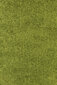 Ayyildiz kilimas Shaggy Dream Green 4000, Ø 120 cm kaina ir informacija | Kilimai | pigu.lt