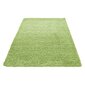 Ayyildiz kilimas Shaggy Dream Green 4000, 120x170 cm kaina ir informacija | Kilimai | pigu.lt