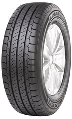 Falken LINAM VAN01 195/60R16C 99 H kaina ir informacija | Vasarinės padangos | pigu.lt