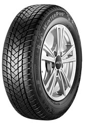 GT Radial WINTERPRO2 215/50R17 95 V цена и информация | Зимние шины | pigu.lt