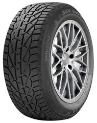 Riken SUV SNOW 215/70R16 100 H цена и информация | Зимняя резина | pigu.lt