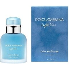 Парфюмированная вода Dolce & Gabbana Light Blue Eau Intense EDP для мужчин 100 мл цена и информация | Мужские духи | pigu.lt