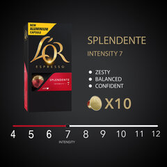 Кофе в капсулах L'OR SPLENDENTE, 10 капсул с кофейными аппаратами Nespresso® цена и информация | Кофе, какао | pigu.lt