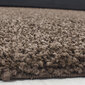 Ayyildiz kilimas Shaggy Dream Brown 4000, 200x290 cm kaina ir informacija | Kilimai | pigu.lt