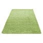 Ayyildiz kilimas Shaggy Dream Green 4000, 160x230 cm kaina ir informacija | Kilimai | pigu.lt