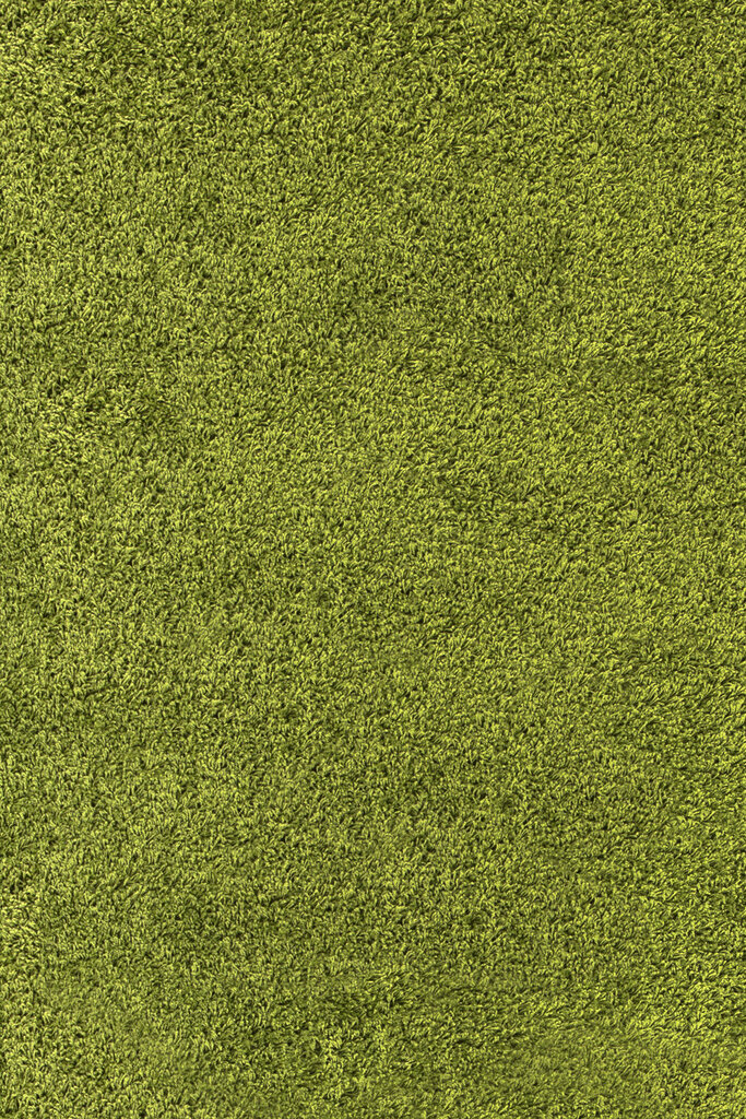 Ayyildiz kilimas Shaggy Dream Green 4000, 200x290 cm kaina ir informacija | Kilimai | pigu.lt