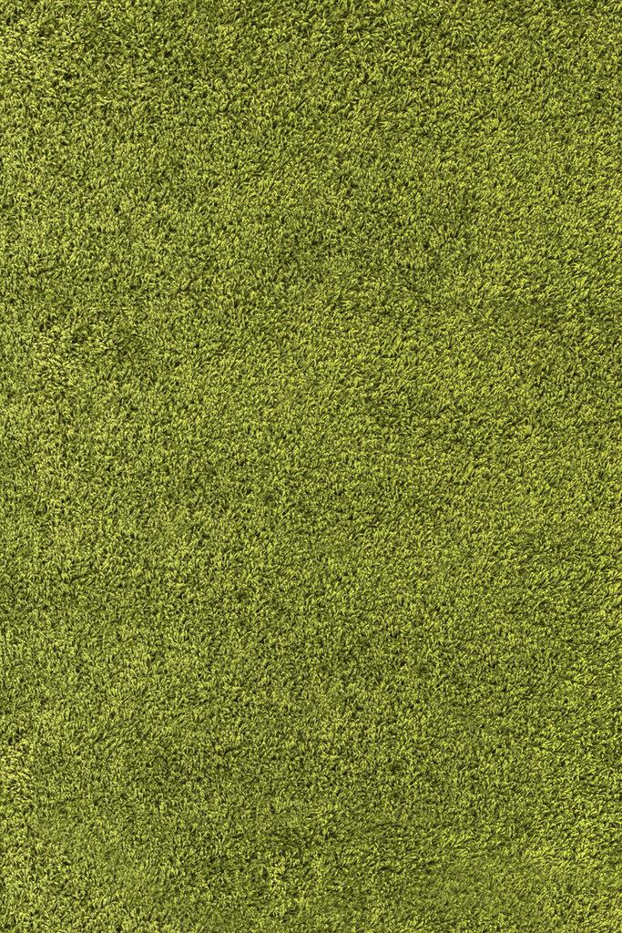 Ayyildiz kilimas Shaggy Dream Green 4000, 65x130 cm kaina ir informacija | Kilimai | pigu.lt