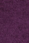 Ayyildiz kilimas Shaggy Dream Lila 4000, 160x230 cm kaina ir informacija | Kilimai | pigu.lt