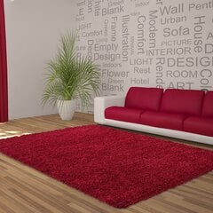 Ковер Ayyildiz Shaggy Dream Red 4000, 160x230 см цена и информация | Ковры | pigu.lt