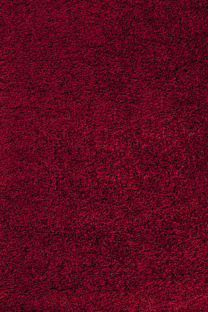 Ayyildiz kilimas Shaggy Dream Red 4000, 200x290 cm kaina ir informacija | Kilimai | pigu.lt