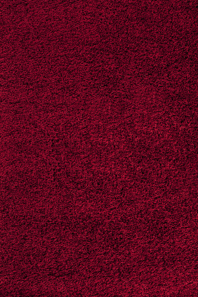 Ayyildiz kilimas Shaggy Dream Red 4000, 60x110 cm kaina ir informacija | Kilimai | pigu.lt