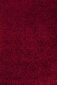 Ayyildiz kilimas Shaggy Dream Red 4000, 60x110 cm kaina ir informacija | Kilimai | pigu.lt