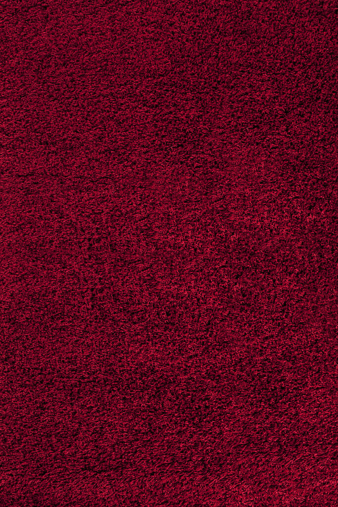 Ayyildiz kilimas Shaggy Dream Red 4000, 65x130 cm kaina ir informacija | Kilimai | pigu.lt