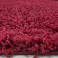 Ayyildiz kilimas Shaggy Dream Red 4000, 65x130 cm kaina ir informacija | Kilimai | pigu.lt