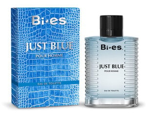 Туалетная вода Bi-es Just Blue EDT 100 мл цена и информация | Мужские духи | pigu.lt