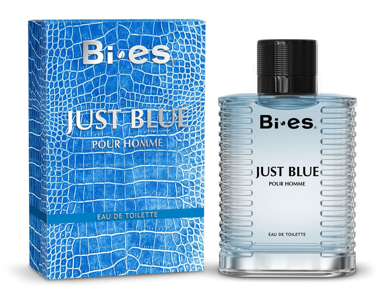 Tualetinis vanduo vyrams Bi-es Just Blue EDT 100ml цена и информация | Kvepalai vyrams | pigu.lt