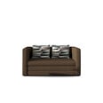 Miegamasis fotelis-sofa Nore Neva, rudas