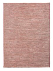 Northrugs kilimas Ivy Rose 120x170 cm kaina ir informacija | Kilimai | pigu.lt