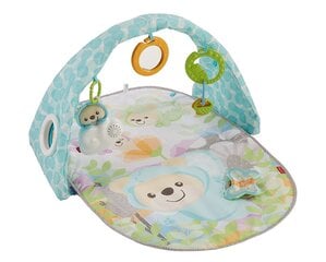 Музыкальный игровой коврик Fisher Price "Мечты бабочек" цена и информация | Fisher Price Компьютерная техника | pigu.lt