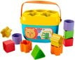 Formelių rūšiuoklis Fisher Price kaina ir informacija | Žaislai kūdikiams | pigu.lt